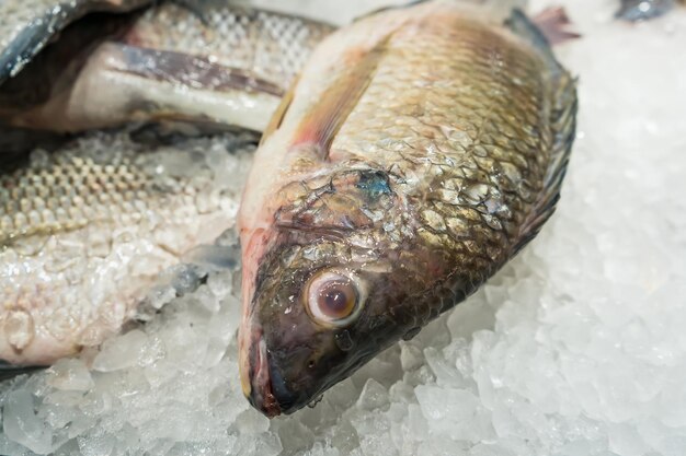 Фото Свежая рыба на льду в супермаркете