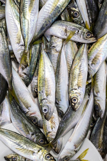 漁師のカウンターで売りに出されている新鮮な魚