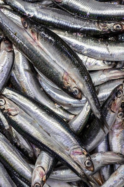 Fresh fish ready for sale at the fisherman's counter