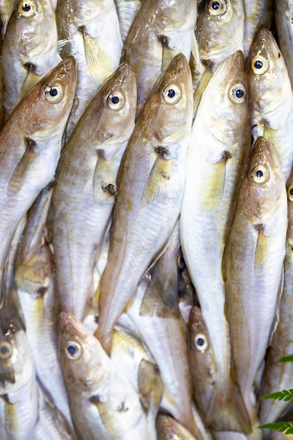 Pesce fresco pronto per la vendita al banco del pescatore