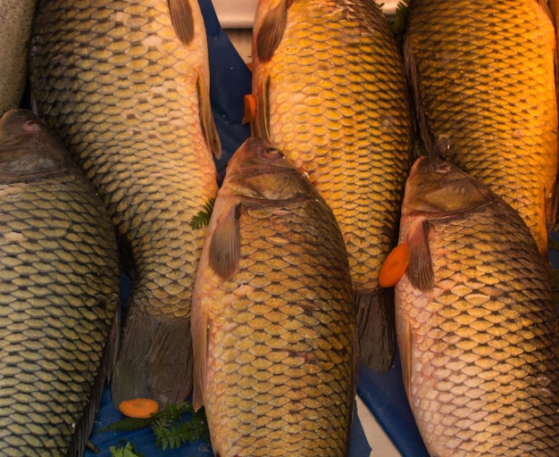 魚市場で新鮮な魚を販売