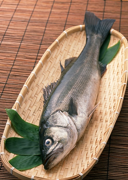 신선한 생선과 바다 음식