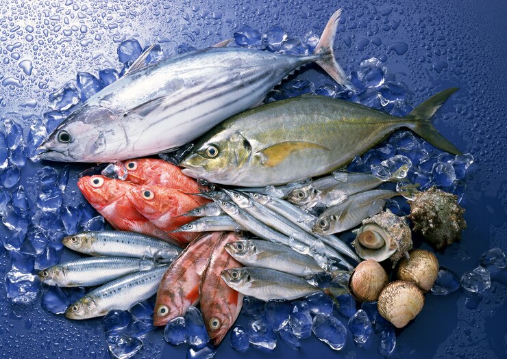 Фотография свежая рыба и морепродукты