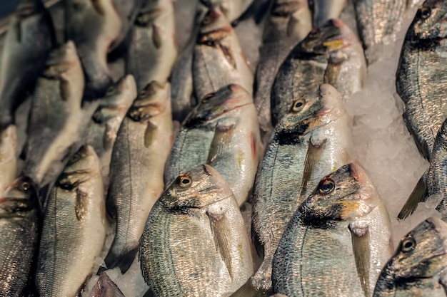 Fresh fish and seafood on white wooden background. Healthy eating. Top view