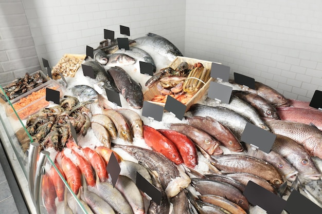 Fresh fish in supermarket