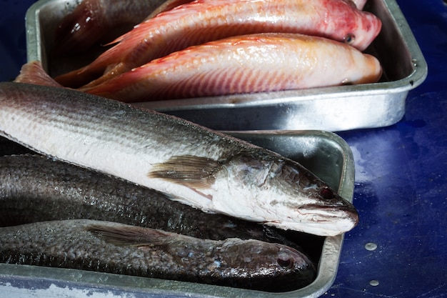 fresh fish in tray for cooking in restaurant kitchen