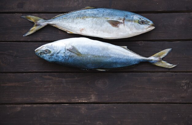 新鮮な魚の木