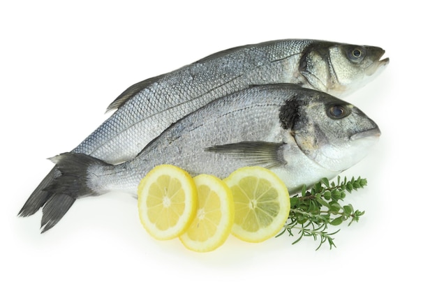 Fresh fishes with lemon and herbs isolated on white