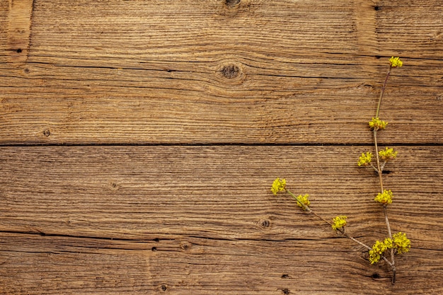 Свежие цветущие веточки кизила на старинных деревянных фоне. Концепция настроения весны, шаблон карточки, обои, фон