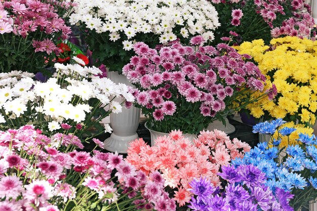 Fresh flowers on display outdoors