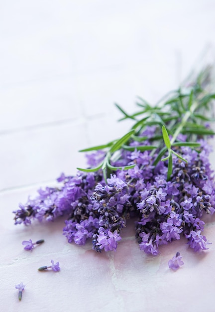 Fresh flowers of lavender bouquet