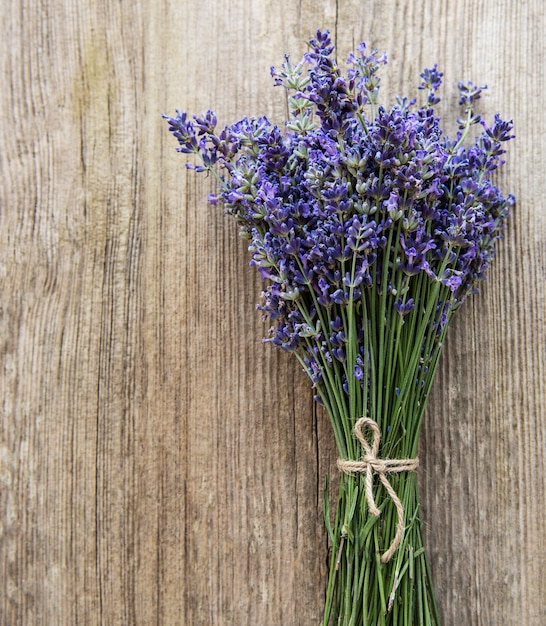 Fresh flowers of lavender