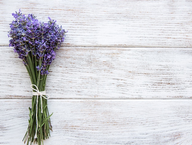 Fresh flowers of lavender