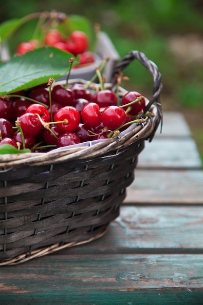 Fresh forest fruit on wood