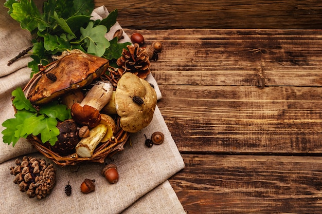 Fresh forest mushrooms. Assorted gourmet porcini and boletus, oak leaves