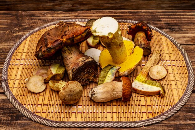 Fresh forest mushrooms. Assorted gourmet porcini and boletus