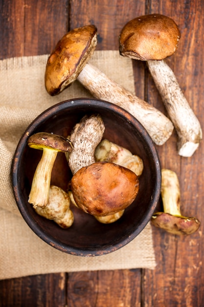 Fresh forest mushrooms in a bowl, top view