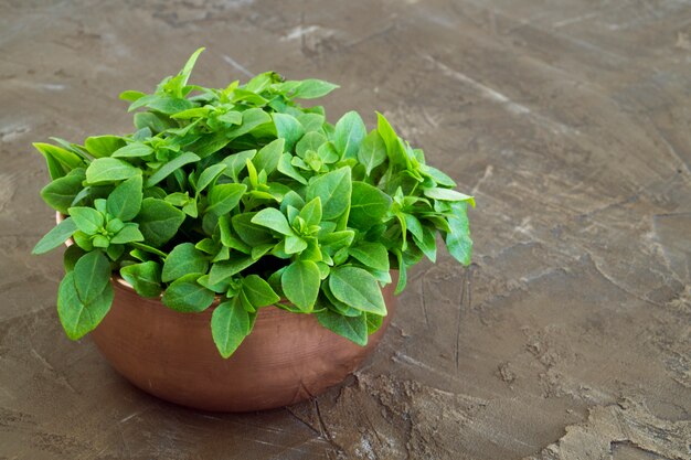 Fresh, fragrant Basil in a copper bowl.