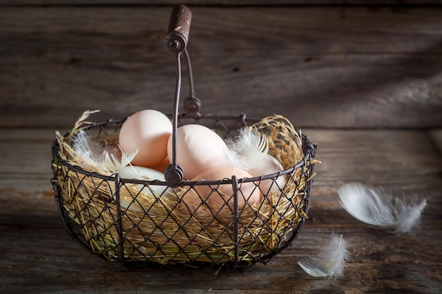 Fresh free range eggs in the basket