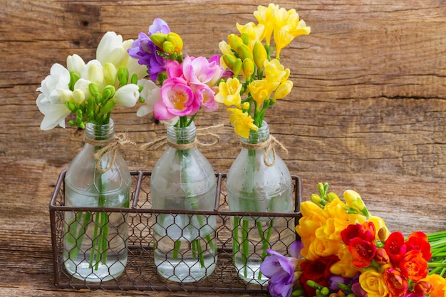 Fresh freesia flowers