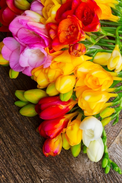 Fresh freesia flowers