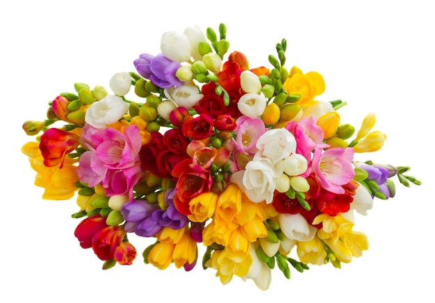 Fresh freesia flowers