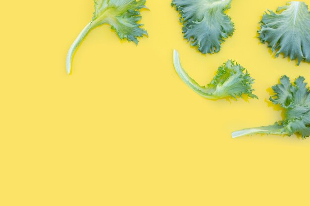 Fresh frillice iceberg lettuce on yellow background