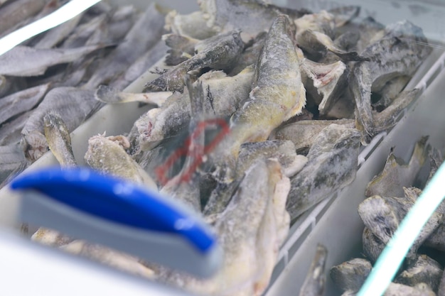 Fresh frozen fish in the freezer in the store