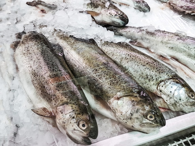 Свежезамороженные рыбы во льду для продажи в супермаркете крупным планом