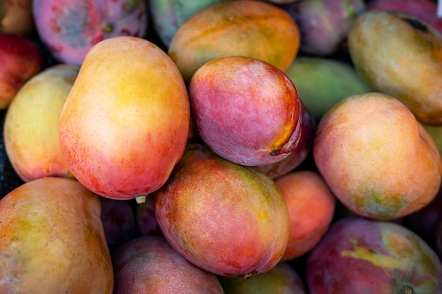 현지 시장에서 볼 수 있는 신선한 과일 흠잡을 데 없이 아름다운 고품질 사진