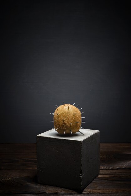 Fresh fruit on dark background on concrete stand. Soft shaggy kiwi fruit with sharp thorns.