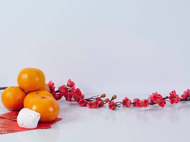 Fresh fruits in plate against white background