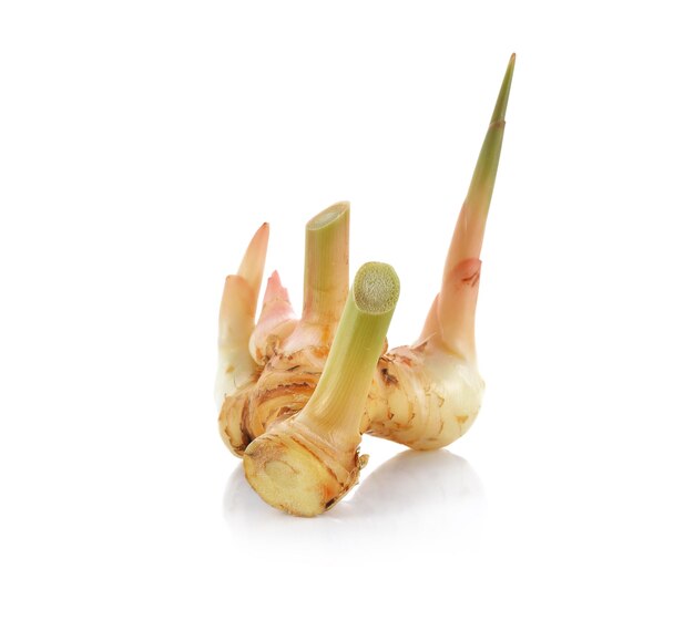 Fresh galangal isolated on white background