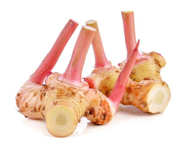 Fresh galangal rhizomes isolated on white background 