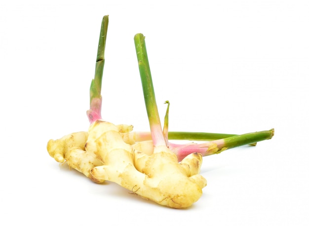 Fresh galangal on a white background