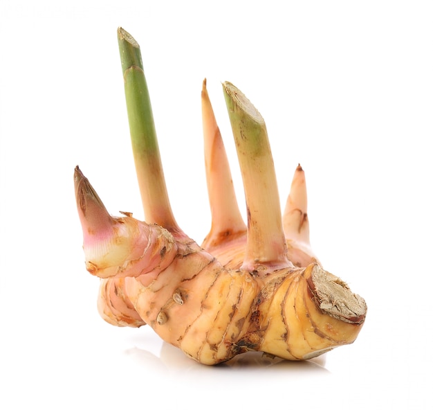 Fresh galangal