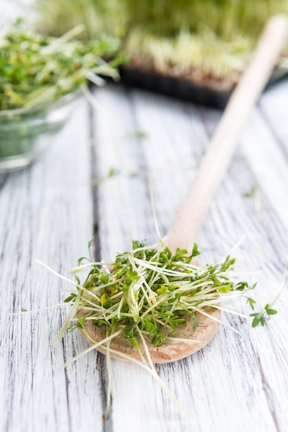 Fresh Garden Cress selective focus