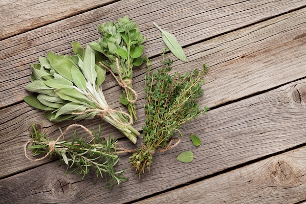 Fresh garden herbs