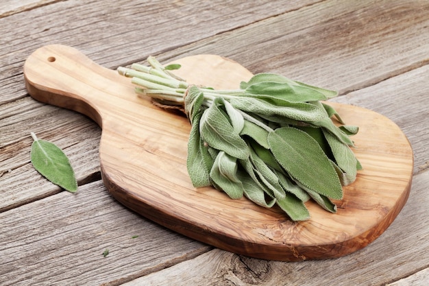 Fresh garden sage herb