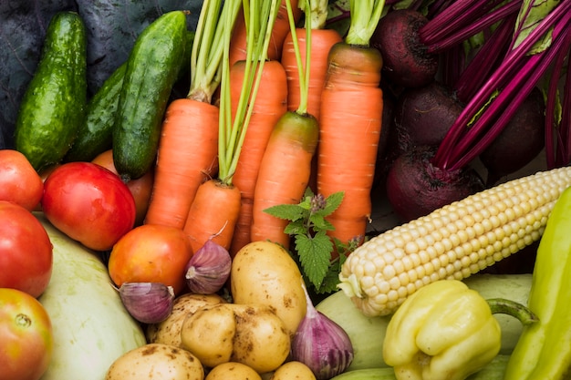 Fresh garden vegetables top view