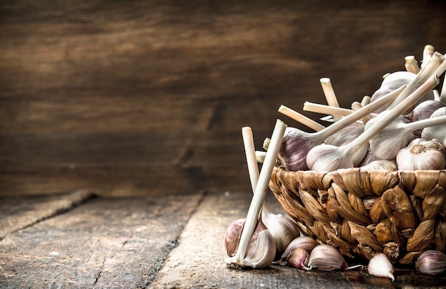 Fresh garlic in a basket. On a wooden background.