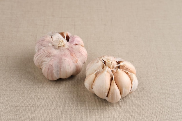 Fresh garlic Close up and copy space Selected focus