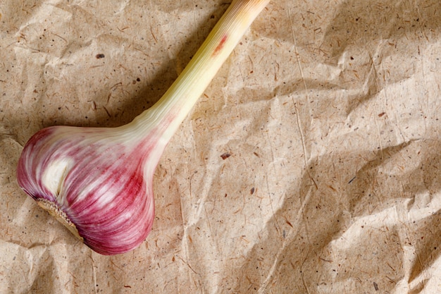 Fresh garlic on craft paper