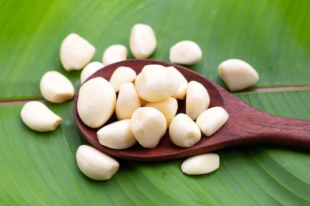 Fresh garlic on green leaf