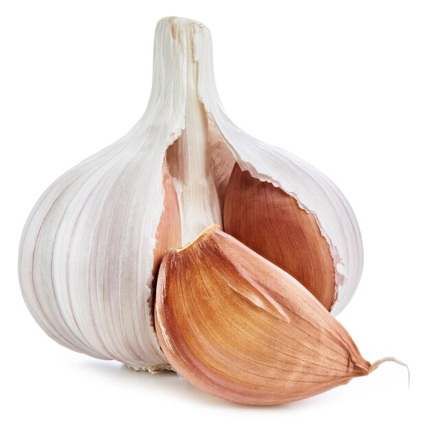 Fresh garlic isolated on white background. Garlic with clipping path