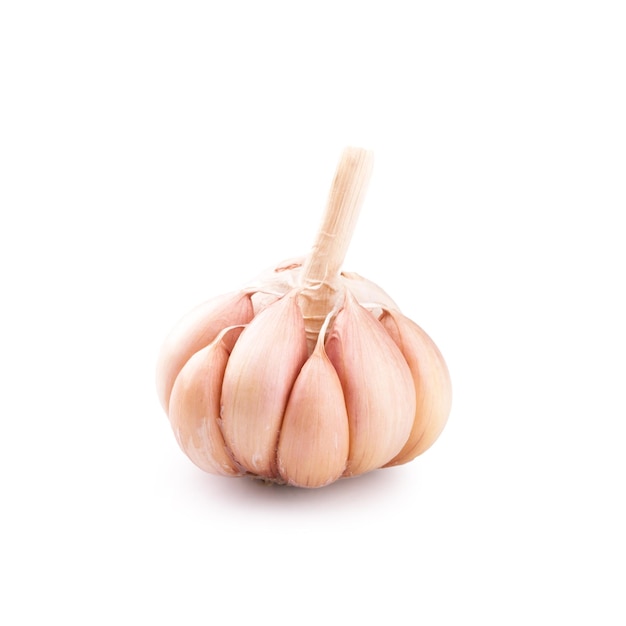 Fresh garlic isolated on white backgroundxA