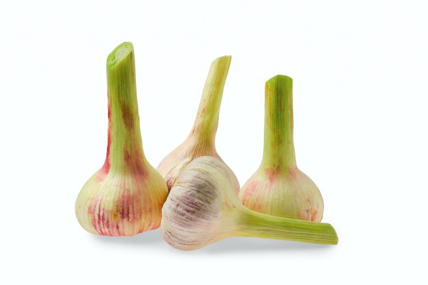 fresh garlic isolated on white wall