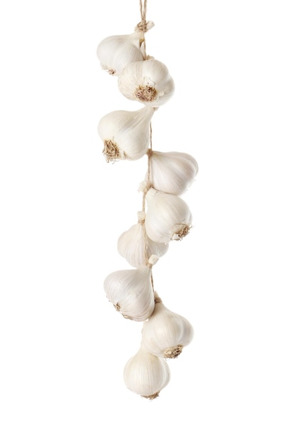 fresh garlic isolated on white