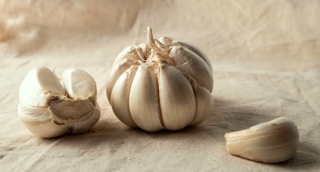 Fresh garlic on the table