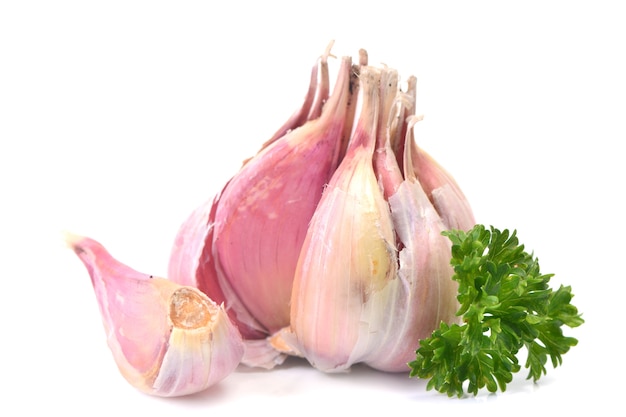 Fresh garlic on a white background